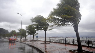 Thời tiết hôm nay ngày 14/8: Áp thấp mạnh lên thành bão số 4, vùng biển từ Quảng Ninh đến Nam Định đón bão