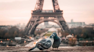 Triết lý sống của người Paris: Người hạnh phúc là người không có quá nhiều ham muốn
