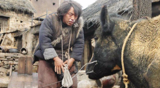 Tặng trâu cho người nghèo, vài tháng sau, anh nhà giàu nhận lại thứ ngoài tưởng tượng