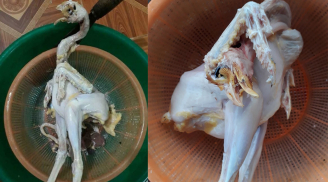 Đăng ảnh gà bị vặt trụi cả lông lẫn da để 'bóc mẽ' vợ, anh chồng bị chị em vạch trần sự thật
