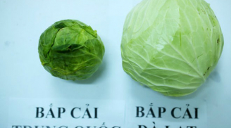 Mua bắp cải nhất định phải nhớ thật kĩ 4 điểm nhận dạng này để tránh thật xa đồ Trung Quốc tẩm hóa chất