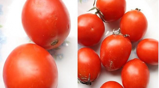 Bí quyết chọn cà chua không hóa chất, chị em tha hồ ăn mà chẳng lo ngộ độc