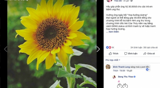 Vẽ hoa hướng dương đăng lên Facebook có giúp bệnh nhi được nhận 30.000đ?