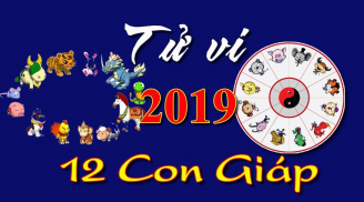 Xem tử vi năm 2019 của 12 con giáp và cách hóa hung thành cát cho vận mệnh an lành