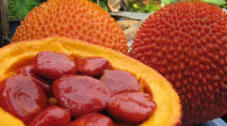 Loại quả rẻ tiền chính là thần dược cho sức khỏe, giúp trị bách bệnh và thọ lâu sống khỏe chẳng lo ung thư