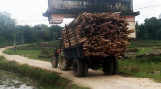 Xe công nông chở gỗ 'khiêng' luôn cổng chào của làng lên xe gây xôn xao