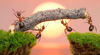 Bất cứ khi nào bạn muốn bỏ cuộc, hãy đọc truyện ngắn này