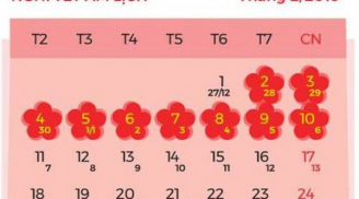 Lịch nghỉ lễ chi tiết Tết Nguyên đán và các ngày lễ trong năm 2019
