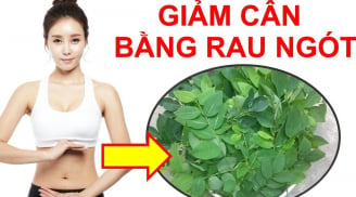 Chỉ cần ăn rau ngót theo đúng cách này: Đầu tuần 50kg, cuối tuần 45kg mỡ thừa ra đi mãi mãi