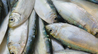 Y học chỉ ra loại cá rẻ mà bổ hơn nhân sâm Việt Nam có đầy chợ ăn đều sẽ sống khỏe thọ lâu