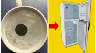 Đi xa nhà vài ngày, bạn nhất định phải nhớ đặt 1 đồng xu vào tủ lạnh vì lý do rất quan trọng này