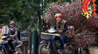 Người hâm mộ hài hước chế ảnh Công Phượng, Quang Hải về quê bán đào Tết, nhìn ảnh này mới cười 'chảy nước mắt'