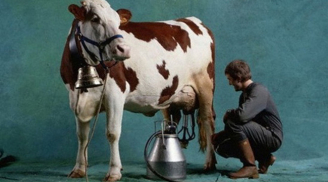 Người bán sữa bò vừa đi vừa rao: “1 chai 3 đồng, 3 chai 10 đồng” và kết quả thật bất ngờ