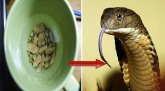 Hạt chanh có thể cứu sống người bị rắn cắn chỉ trong vòng 1 phút nếu dùng theo cách này