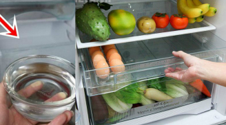 Đặt bát nước vào tủ lạnh trước khi đi ngủ, sáng hôm sau ai cũng TRÒN MẮT khi thấy thành quả