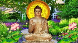 Phật dạy: Muốn ngày mai giàu sang hạnh phúc, hôm nay hãy làm ngay những việc này