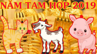 Đây là 4 cụm con giáp tam hợp, chỉ cần ở bên nhau là giàu sang phú quý cả đời, thành công hiển hách