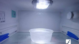 Đặt một cốc nước vào trong tủ lạnh: Bà mẹ trẻ bất ngờ với điều kỳ diệu xảy ra