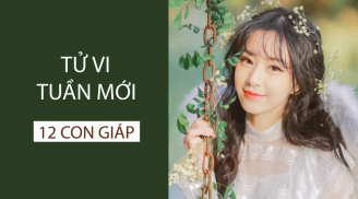 Tiên tri tử vi tuần mới (từ 25/3 đến 31/3/2019) của 12 con giáp: Tuổi Ngọ tài vận đang lên, Tỵ nhạy bén