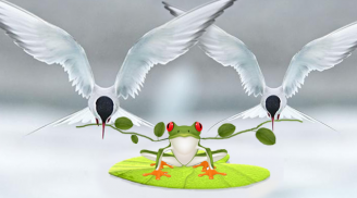 Câu chuyện của ếch xanh và chim nhạn đáng suy ngẫm: Người ta không chết vì khổ, vì đói, mà chết vì tức