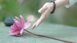 5 quy tắc theo triết lý nhà Phật để sống ung tự tại, hạnh phúc đến cuối đời