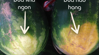 Nhìn vào ĐIỂM VÀNG này trên quả dưa hấu, chỉ 5s biết ngay quả ngon ngọt mê ly, người sành ăn phải biết rõ