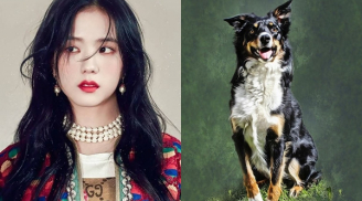 20 ngày tới: 4 con giáp ĐỀ PHÒNG BỊ NGƯỜI KHÁC LỢI DỤNG gặp họa phá tài mọi việc đều “xôi hỏng bỏng không”