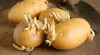 5 sai lầm ăn khoai tây khiến CẢ NHÀ NGỘ ĐỘC nhập viện trong tích tắc bỏ ngay đi còn kịp