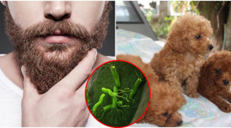 Khoa học đã chứng minh: Râu đàn ông chứa nhiều vi khuẩn hơn cả lông thú, dễ lan truyền căn bệnh nguy hiểm