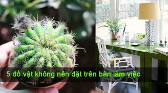 5 vật chớ đặt lên bàn làm việc kẻo công danh, sự nghiệp 'xuống dốc không phanh'
