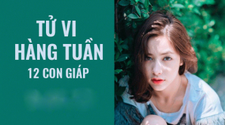 Tử vi tuần mới (27/5- 2/6): 3 con giáp cẩn thận tiểu nhân cản đường, thị phi bủa vây, của cải tiêu tán