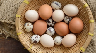 Trứng gà, trứng vịt, trứng cút trứng nào tốt hơn cho trí não bé: Mẹ thông thái đọc để cho con ăn đúng