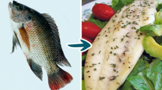 4 loại cá dễ nhiễm tạp chất, không nên ăn nhưng vẫn xuất hiện trong bếp của các bà nội trợ
