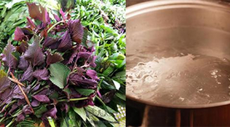 Chẳng cần kem trộn làm trắng thần tốc, chạy ngay ra chợ mua nắm lá tía tô da bỗng trắng hồng không tỳ vết