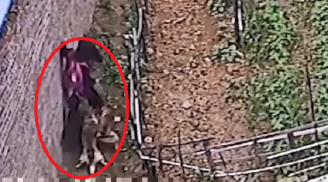 Nữ sinh bị đàn chó dữ tấn công rồi kéo lê xuống đất khiến ai nấy chứng kiến đều sợ hãi