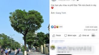 Xuất hiện cây hoa sữa hình trái tim cực 'hot' trên phố Hà Nội khiến các cặp đôi 'phát sốt'
