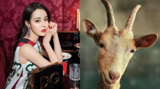 4 con giáp tốt bụng có thừa nhưng hay gặp 'vạ miệng', hễ mở mồm là gặp thị phi trong năm 2019