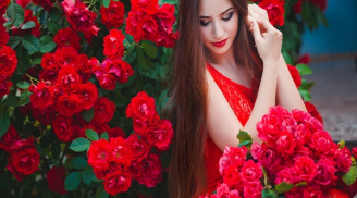 Đàn bà đừng cần quá nhiều tiền, chỉ cần bình yên là đủ