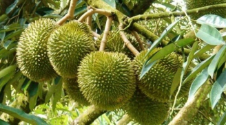 Những loại hoa quả không nên đặt lên bàn thờ nếu gia chủ không muốn đắc tội với thần linh