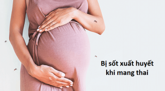 Nếu bị sốt xuất huyết khi mang thai, mẹ nhất định phải biết điều này để bảo vệ con