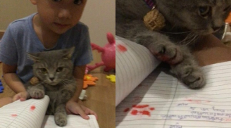 Sợ bố mẹ đọc được lời nhận xét của cô giáo, cậu bé đã lôi ngay chú mèo ra rồi bắt 'ký thay'