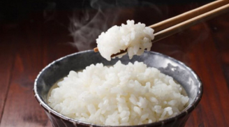 Chuyên gia tiết lộ cách lựa chọn gạo ngon, thơm dẻo, không chứa chất bảo quản