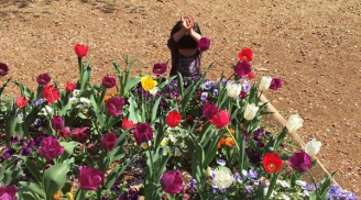 Đang chơi trốn tìm, em bé bất ngờ đứng bên luống hoa rồi làm hành động khiến người mẹ bất ngờ