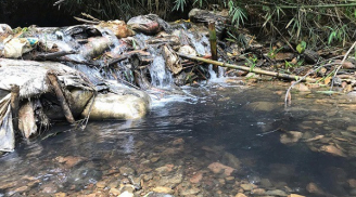 Tin mới nhất vụ nguồn nước sông Đà bị đổ trộm dầu thải