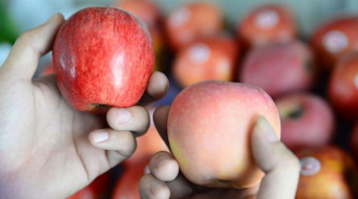 'Dân buôn' hoa quả tiết lộ cách phân biệt táo Mỹ và táo Trung Quốc đơn giản nhất