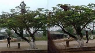 Thầy giáo 'trường người ta' leo hẳn lên cây để chụp ảnh cho học sinh