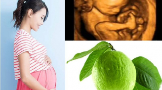 Mẹ bầu ăn ổi giúp ngăn ngừa dị tật thai nhi, ổn định huyết áp thai kỳ