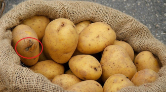 Ăn khoai tây theo những cách này là tự đầu độc cả nhà, nguy hiểm nhất là điều số 3