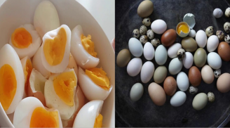 Trứng gà, trứng cút, trứng vịt loại nào là tốt nhất giúp trẻ thông minh vượt trội?