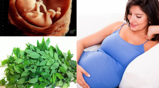 Những loại rau cực bổ nhưng 'độc hại cho thai nhi', mẹ bầu chớ dại động đũa